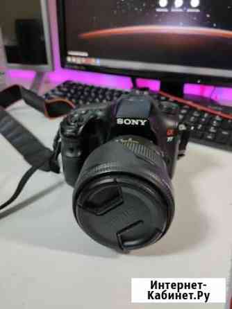 Sony A77 + Sigma DC 17-70mm 1:2.8-4 macro HSM Челябинск