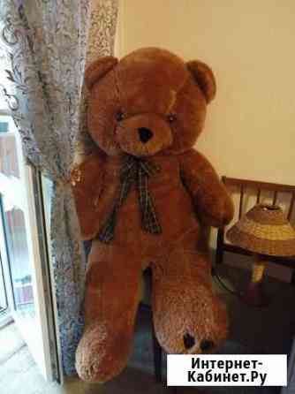 Плюшевый медведь Ростов-на-Дону