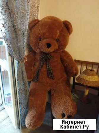 Плюшевый медведь Ростов-на-Дону - изображение 1