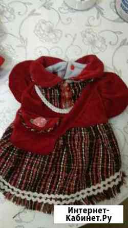 Одежда и обувь для собак Калуга