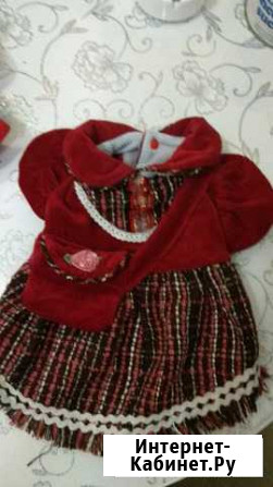 Одежда и обувь для собак Калуга - изображение 1