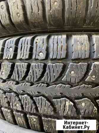 Кама Мурманск