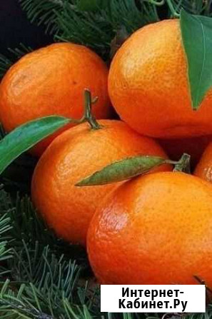 Уменьшение патента ип, заявление на получение пате Тверь - изображение 1
