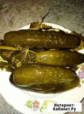Огурцы бочковые. Соления Курск