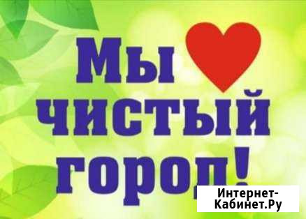 Мастер санитарной очистки мест накопления тко Миасс - изображение 1