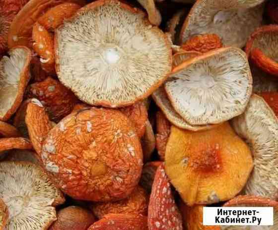 Грибы сушеные, только шляпки Петрозаводск