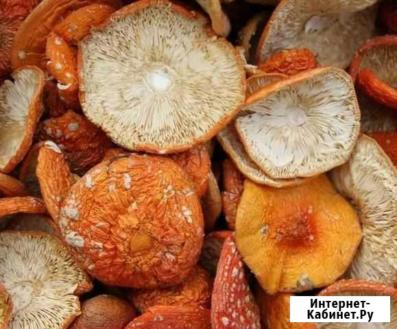 Грибы сушеные, только шляпки Петрозаводск - изображение 1