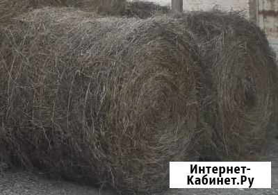 Сено Кумыш - изображение 1