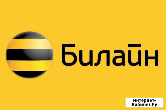 Подключение Домашнего Интернета и тв Билайн Казань - изображение 1
