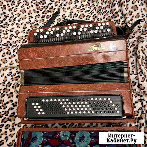 Баян Санкт-Петербург