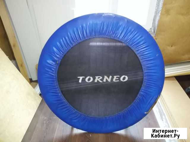 Батут Torneo Белгород - изображение 1
