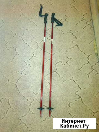 Лыжные палки Омск - изображение 1