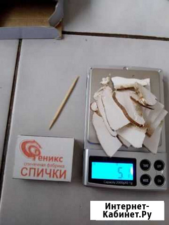Натуральный гриб от комаров, насекомых для туристо Красногорск - изображение 1