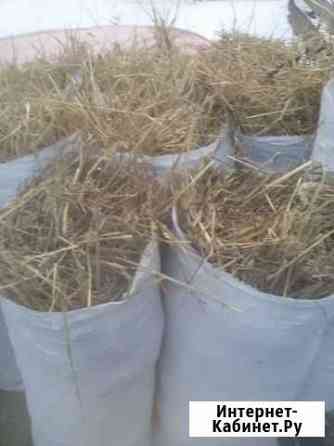 Сено Кемерово