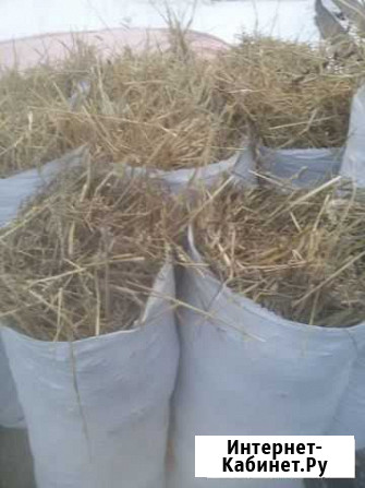 Сено Кемерово - изображение 1