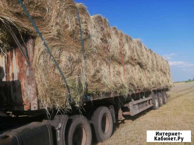 Сено в рулонах луговое Заветное - изображение 1