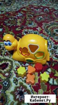 Сортер Черепаха и бабочка каталка Тамбов