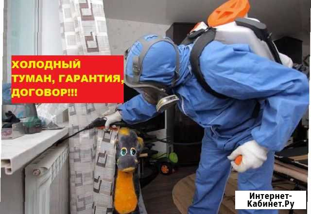 Уничтожение клопов, травить тараканов. Обработка Томск - изображение 1