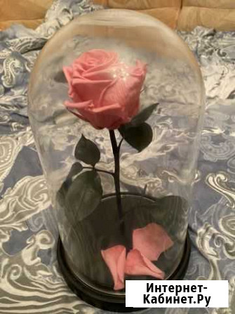 Роза в колбе Тверь - изображение 1