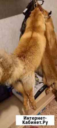 Шкура лисы Пермь