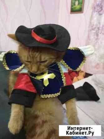 Костюм карнавальный Москва