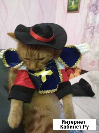 Костюм карнавальный Москва - изображение 1