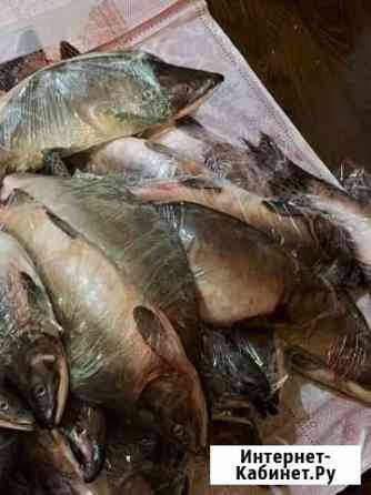 Рыба горбуша Мурманск