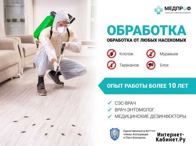 Уничтожение клопов, муравьев, тараканов Киров - изображение 1