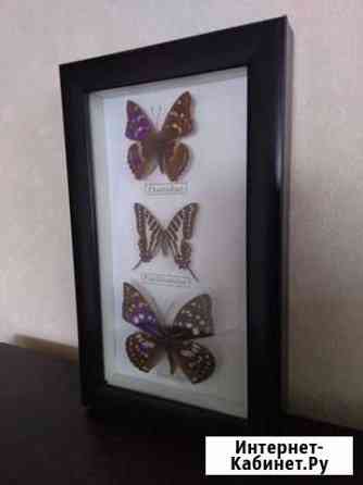 Панно бабочки Чита
