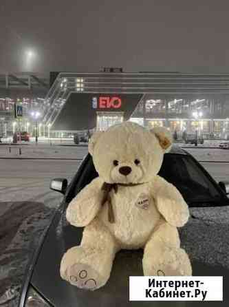 Плюшевый медведь Ставрополь