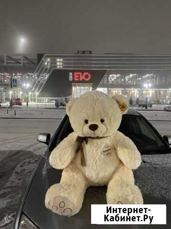 Плюшевый медведь Ставрополь - изображение 1