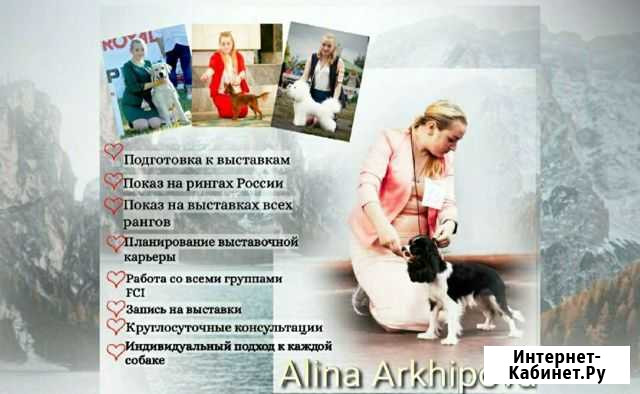 Дрессировка, выгул, передержка, услуги хендлера Иваново - изображение 1