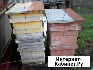 Рамки и улики Краснооктябрьский - изображение 1