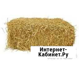 Солома Ефремов - изображение 1