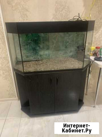 Аквариум с шкафом Пятигорск - изображение 1