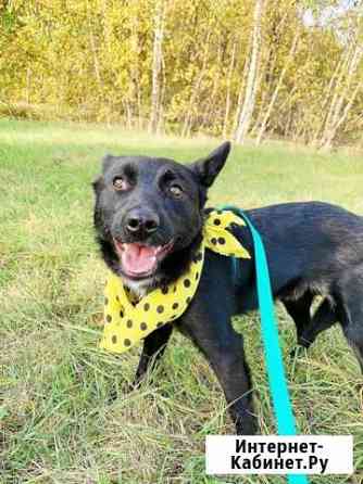 Малыш Каспер в поисках дома Москва