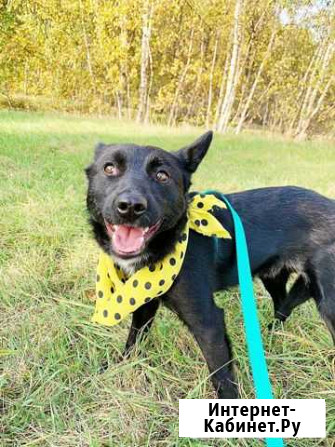 Малыш Каспер в поисках дома Москва - изображение 1