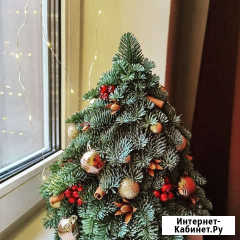 Елка из живой хвои Ставрополь - изображение 1