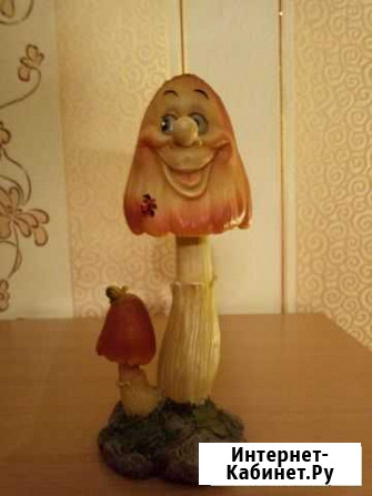 Гриб Красноярск - изображение 1