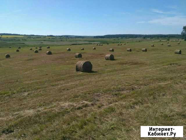 Сено Ирбит - изображение 1