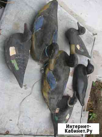 Подсадные резиновые утки (18 шт.) Симферополь