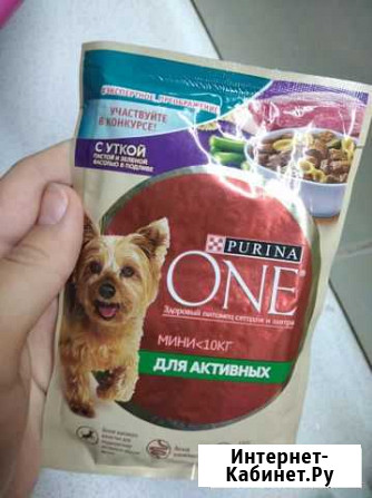 Purina one для собак мелких пород Курчатов - изображение 1