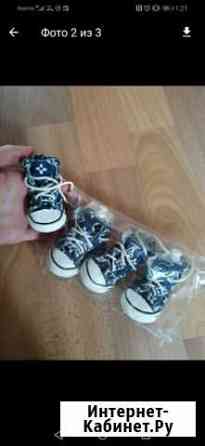 Кеды для собаки Саратов