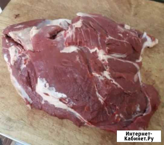 Мясо говядина Тамбов - изображение 1