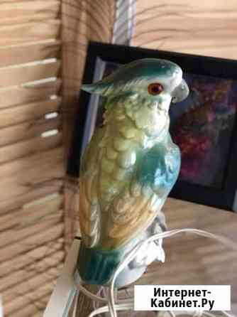 Светильник ночник фарфоровый Попугай, гдр Новосибирск