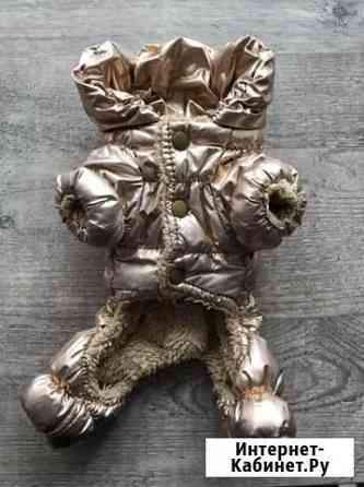 Комбенизон для маленькой собачки Новокузнецк