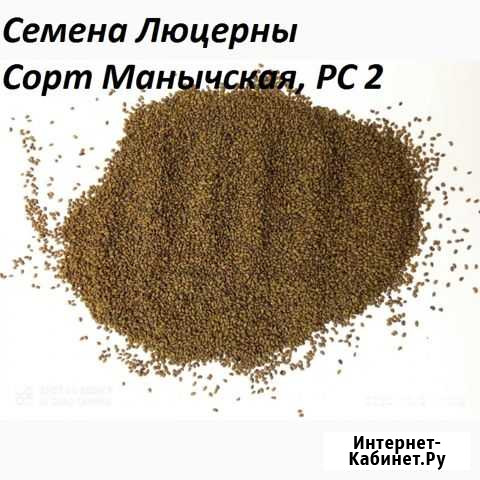 Семена люцерны. Люцерна. Сорт Манычская Самарское - изображение 1