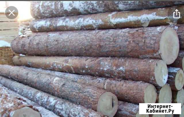 Продам круглый лес Чита - изображение 1