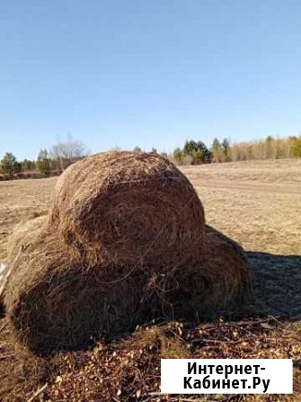 Продам сено в рулонах Ветлуга - изображение 1