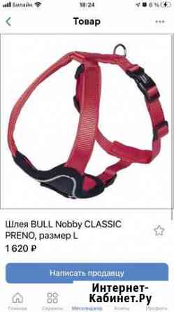 Шлейка для собаки Мурманск